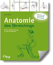 Anatomie des Stretchings: Mit der richtigen Dehnung zu mehr Beweglichkeit